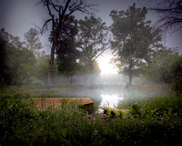 Misty Morning Pond